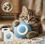 "Gatito jugando con una pelota inteligente interactiva para mascotas de Mimos y Pelos. Juguete automático con cable de carga USB, ideal para estimular el juego y ejercicio diario de tu gato."